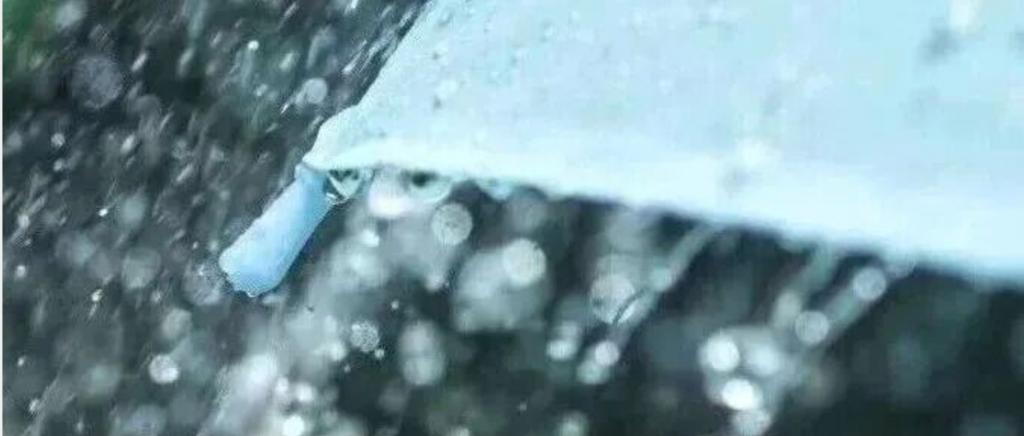 汛期来袭不慌张，防汛知识速收藏