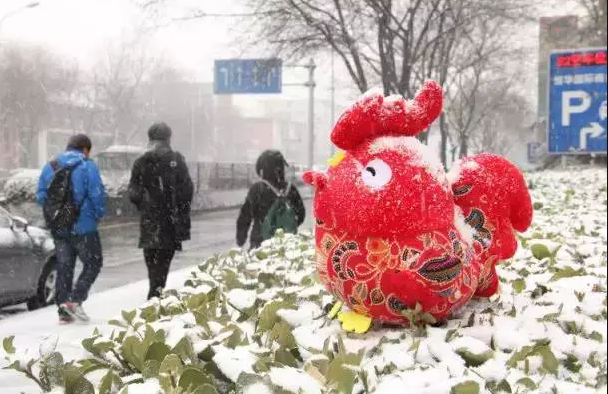 暂无图片