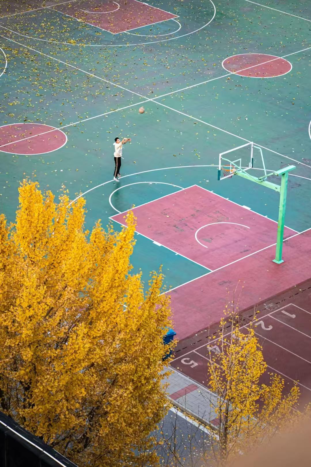 暂无图片