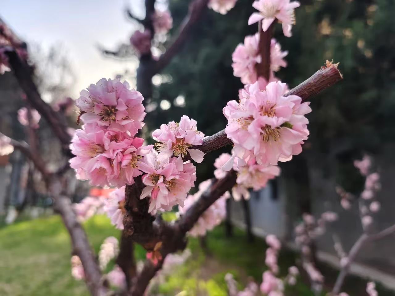 暂无图片