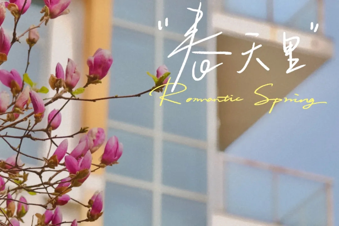 暂无图片